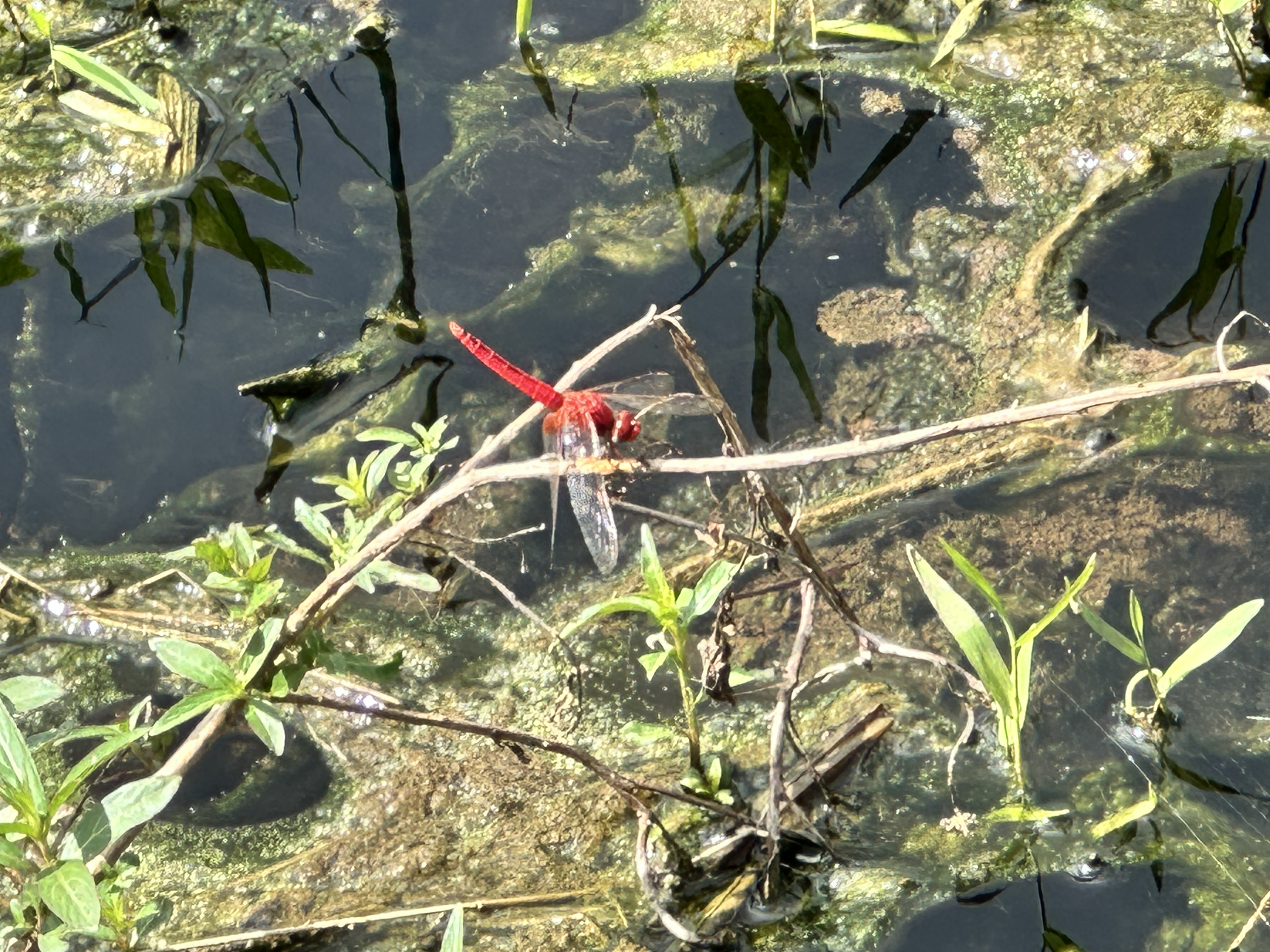 比謝川愛護会＿2025.09.27＿04