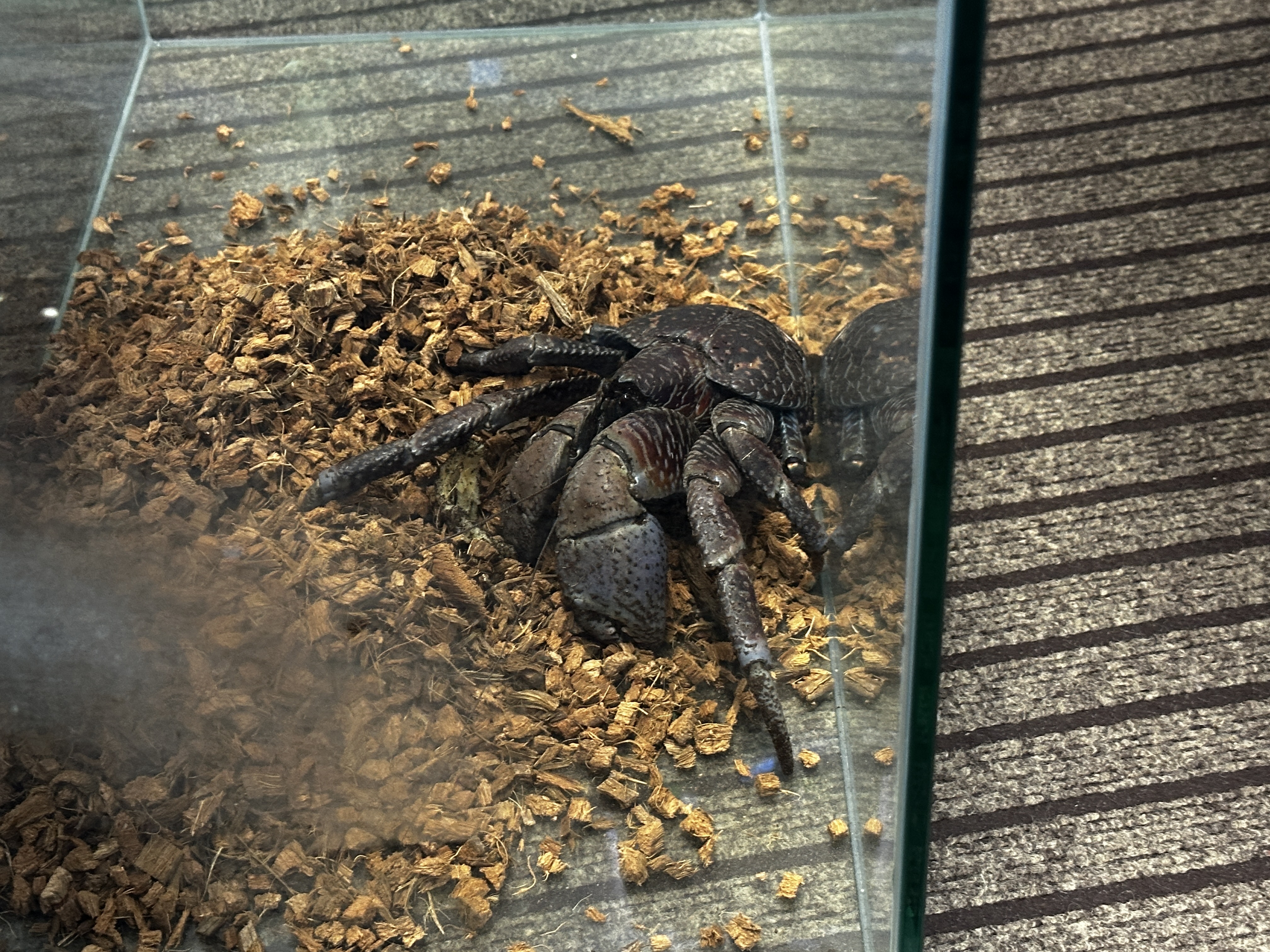 比謝川自然体験センターの4男坊！