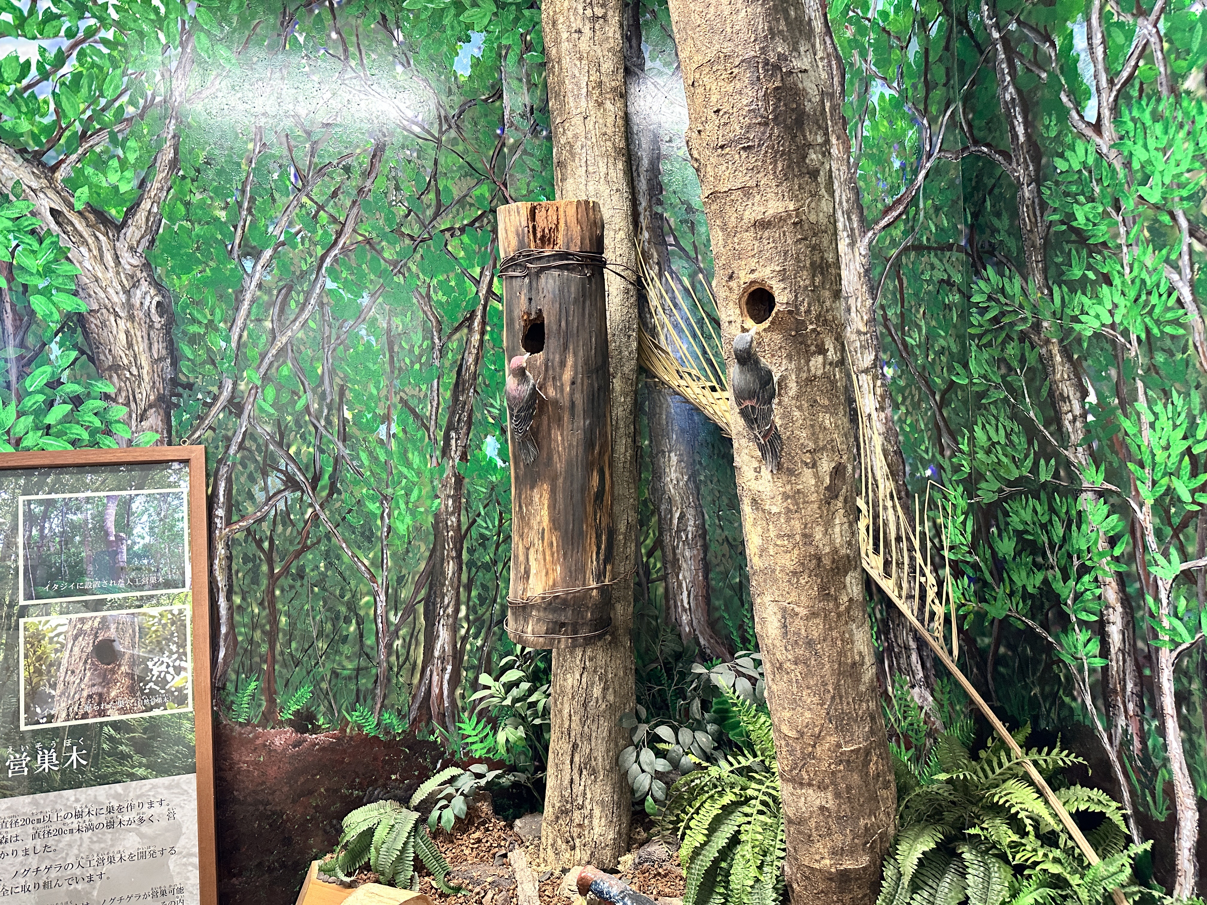 比謝川愛護会＿2025.09.27＿03