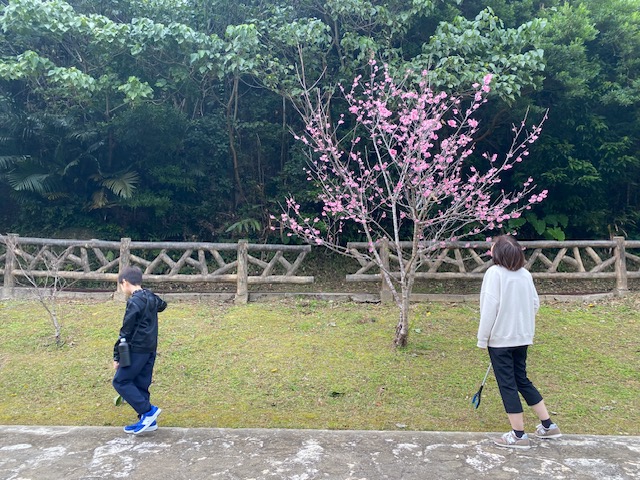 2月比謝川愛護会活動　マングローブ種拾い体験＆手作りエコポットづくり03