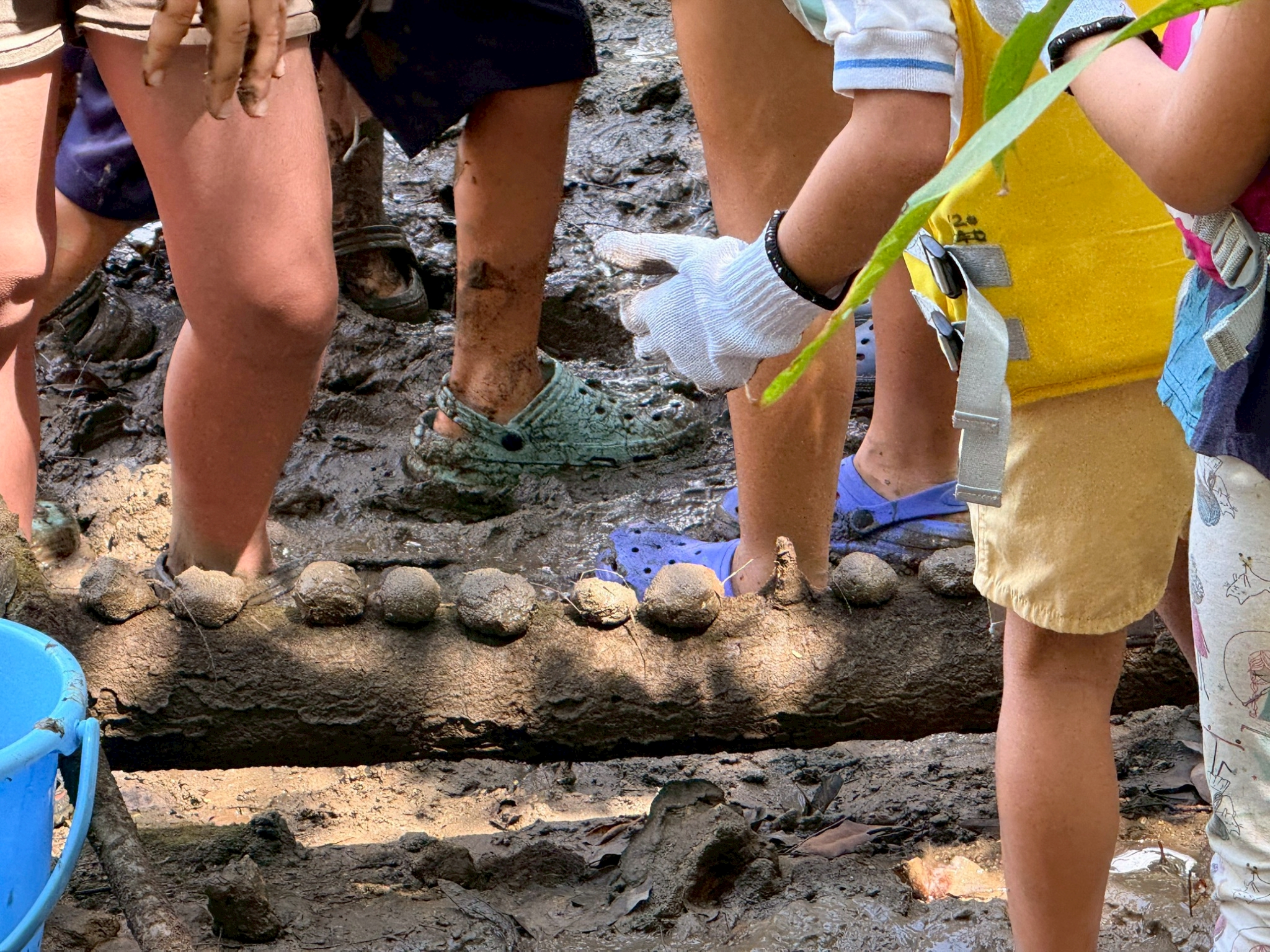 比謝川泥んこ遊びとマングローブの種植え体験　第2弾003