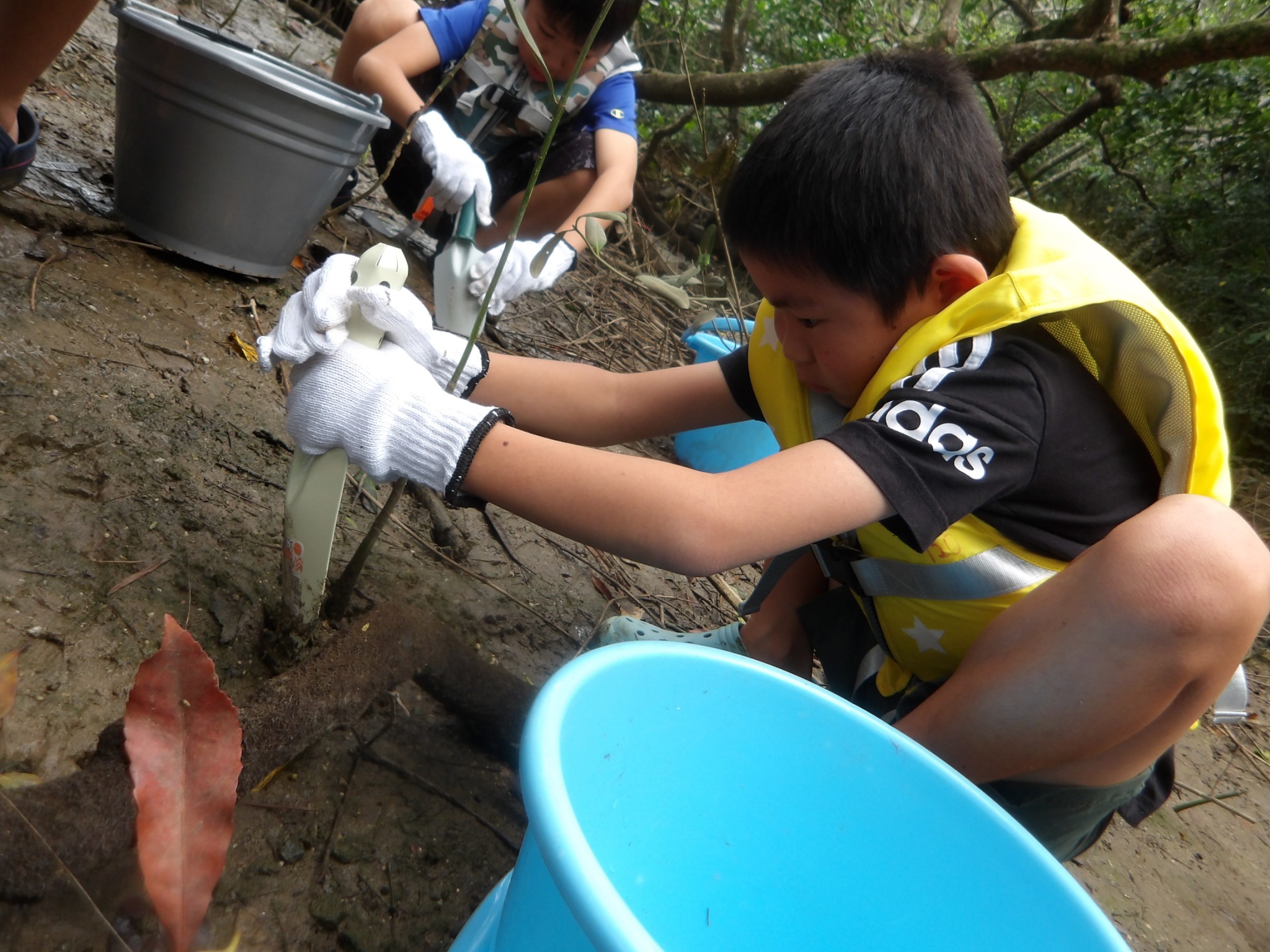 比謝川泥んこ遊びとマングローブの種植え体験　第2弾06