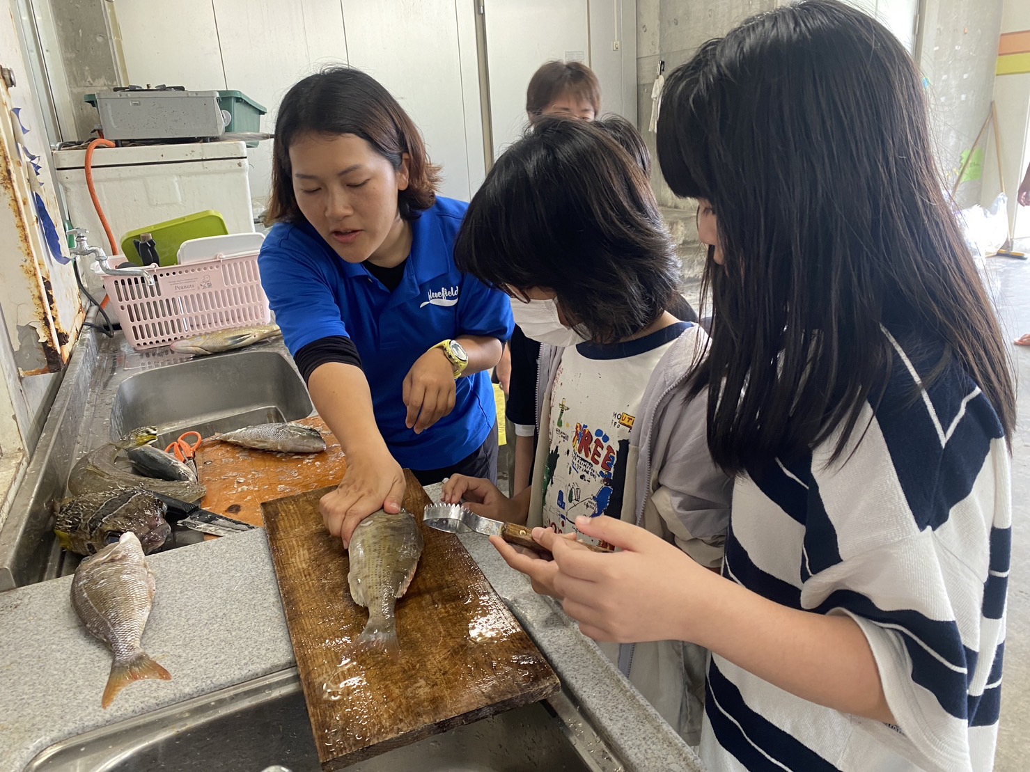 食育：おさかなをさばいてたべよう_比謝川自然体験センター02